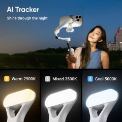Insta360 Flow 2 AI Tracker Kit (Summit White)