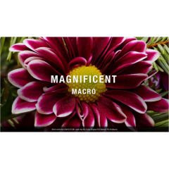 OM System M.Zuiko Digital ED 60mm f/2.8 Macro Lens