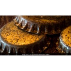 OM System M.Zuiko Digital ED 60mm f/2.8 Macro Lens