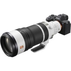 Sony FE 100-400mm f/4.5 GM OSS Lens