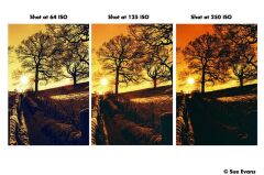 Harman Red 125 Redscale Renkli Negatif Film