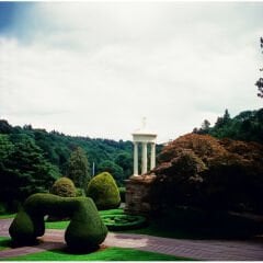 Harman Phoenix 200 Renkli Negatif 120 Roll Film (SKT: 10-2026)