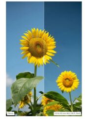 Hoya 49mm HD Nano Mk II CPL Filtre