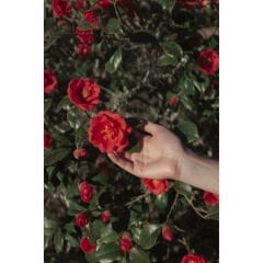 Polaroid Hi Print 2x3 Kartuş ve Kağıt Seti (20'lik)