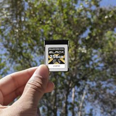 Delkin Devices 256GB Black CFexpress Type-B 4.0 Hafıza Kartı