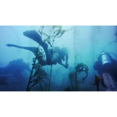 Gopro Koruyucu Kamera Kutusu (Hero11 Mini)