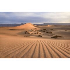 Canon RF 16-28mm f/2.8 IS STM Lens