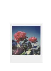 Polaroid Color SX-70 Instant Film 8 Poz (Ürt: 12-2024)