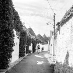 Kentmere Pan 400 Siyah Beyaz Negatif 120 Roll Film (SKT: 12-2027)