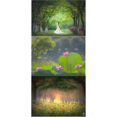 Kase Reflex 200mm f/5.6 Manuel Focus Lens (Canon RF)