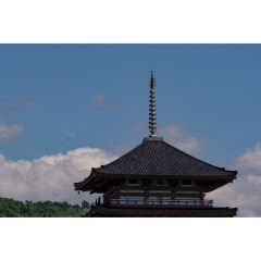 Tamron 150-500mm f/5-6.7 Di III VXD Lens (Fujifilm X)