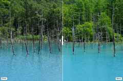 No8 Company 43mm Nano Circular Polarize Filtre