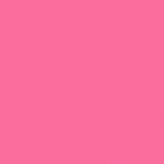 GDX Kağıt Sonsuz Stüdyo Fon Perde (Tulip) 2.70x11 Metre