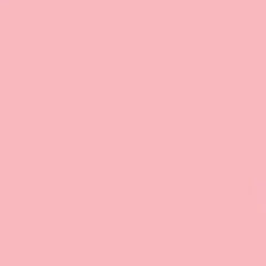GDX Kağıt Sonsuz Stüdyo Fon Perde (Coral) 2.70x11 Metre