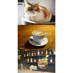 7artisans 25mm f/1.8 APS-C Manuel Lens (Fujifilm X)