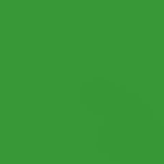 GDX Seyyar Kağıt Sonsuz Stüdyo Fon Perde (Green/Yeşil) 2.70x11 Metre