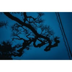 Sigma 17-40mm f/1.8 DC Art Lens (Sony E)