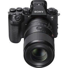 Sony FE 100mm f/2.8 Macro GM Lens