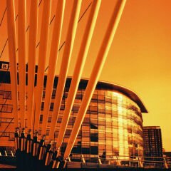 Harman Red 125 Redscale Renkli Negatif 120 Roll Film (SKT: 06-2027)