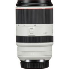 Canon RF 70-200mm F/2.8 L IS USM Lens