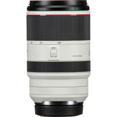 Canon RF 70-200mm F/2.8 L IS USM Lens