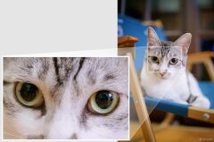 Samyang AF 35mm f/1.4 P FE Lens (Sony E)