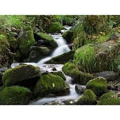 Hoya 46mm Pro ND1000 ND Filtre (10 Stop)