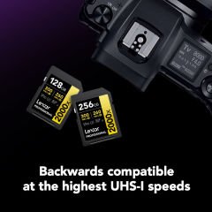 Lexar 256GB Gold 2000x V90 UHS-II SDXC Hafıza Kartı