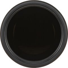 Sony FE 200-600mm f/5.6-6.3 G OSS Lens