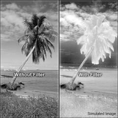 Hoya 62mm R72 Infrared Kızılötesi Filtre